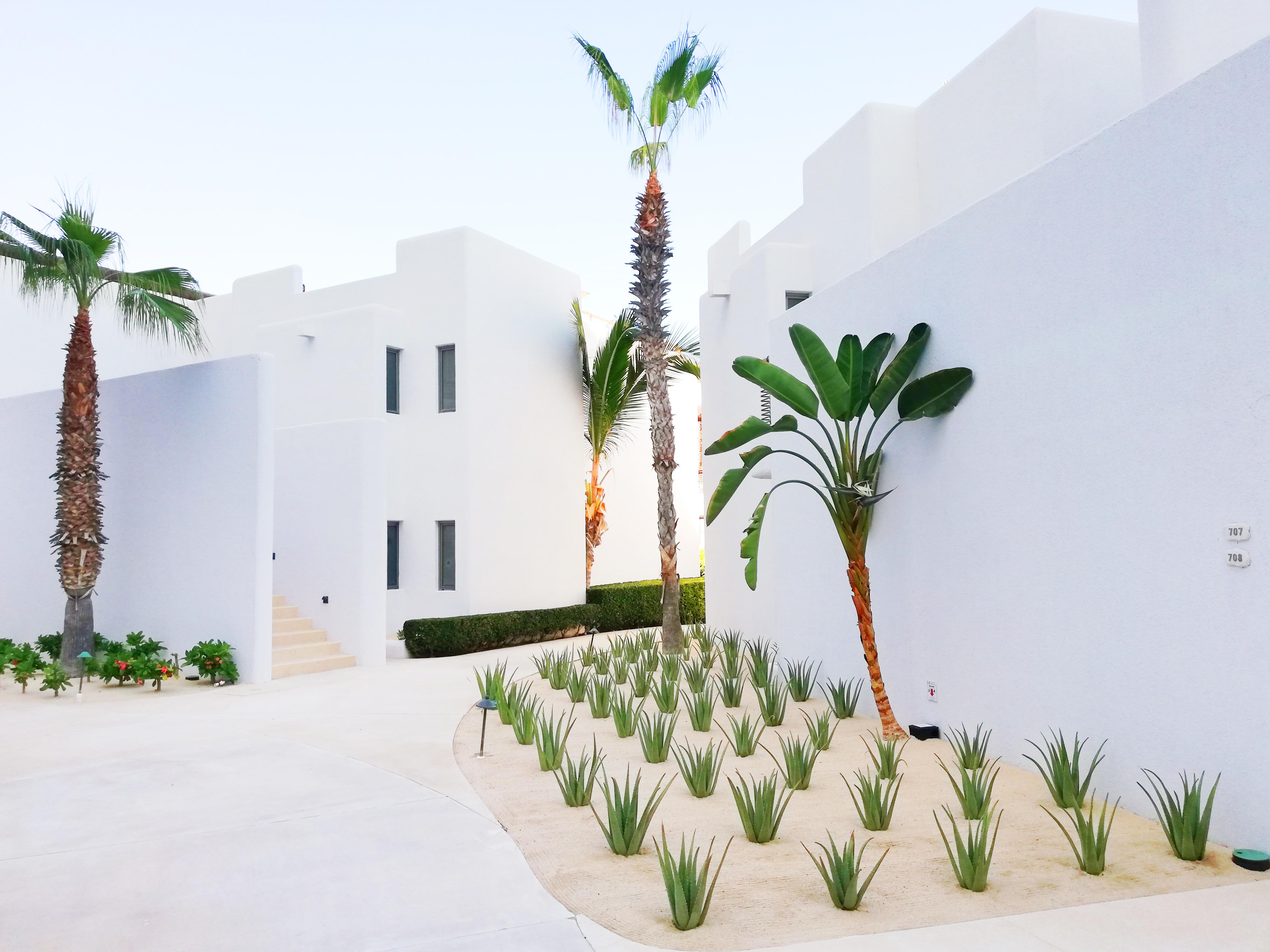 Marquis Los Cabos, An All - Inclusive, Adults - Only & No Timeshare Resort San José del Cabo Extérieur photo
